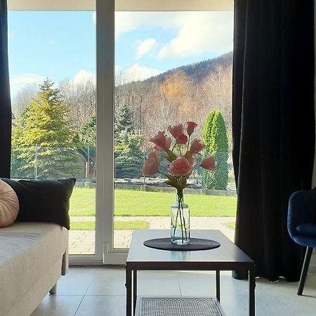 Apartamenty Nad Zylica Przy Deptaku - Dream Apart Szczyrk Eksteriør bilde
